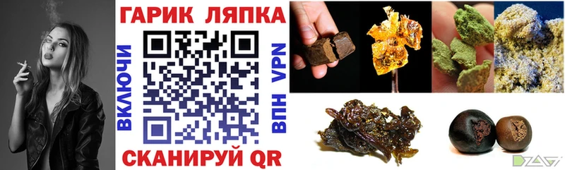 Купить где  Игарка  ГАШ Premium 