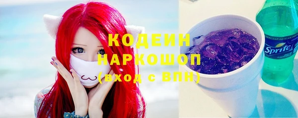 apvp Инта