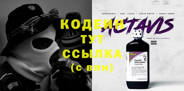 крисы Инсар
