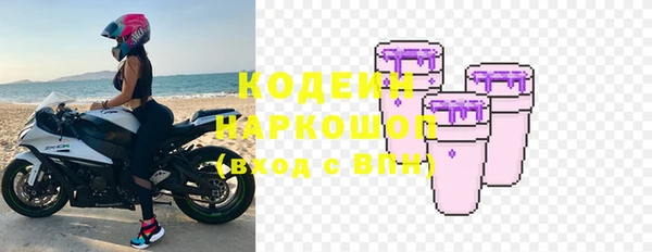 крисы Инсар