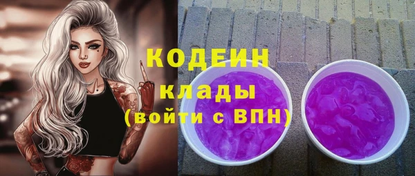 крисы Инсар