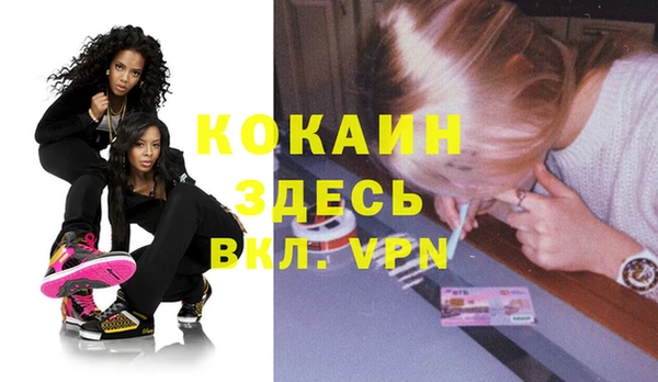 крисы Инсар