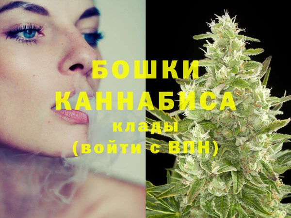 apvp Инта
