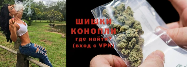 apvp Инта