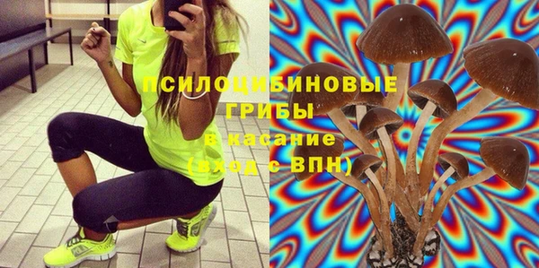 крисы Инсар